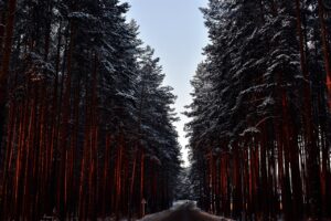 Recommended Winter Boots for the Severe Cold in North America